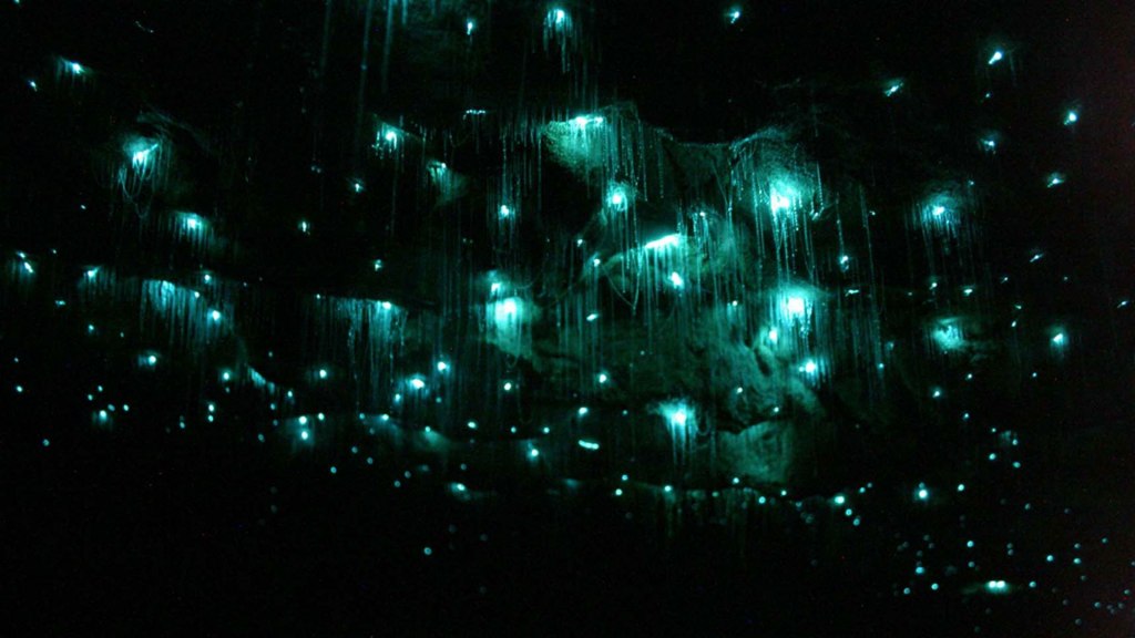 Goosebumps and Glowworms