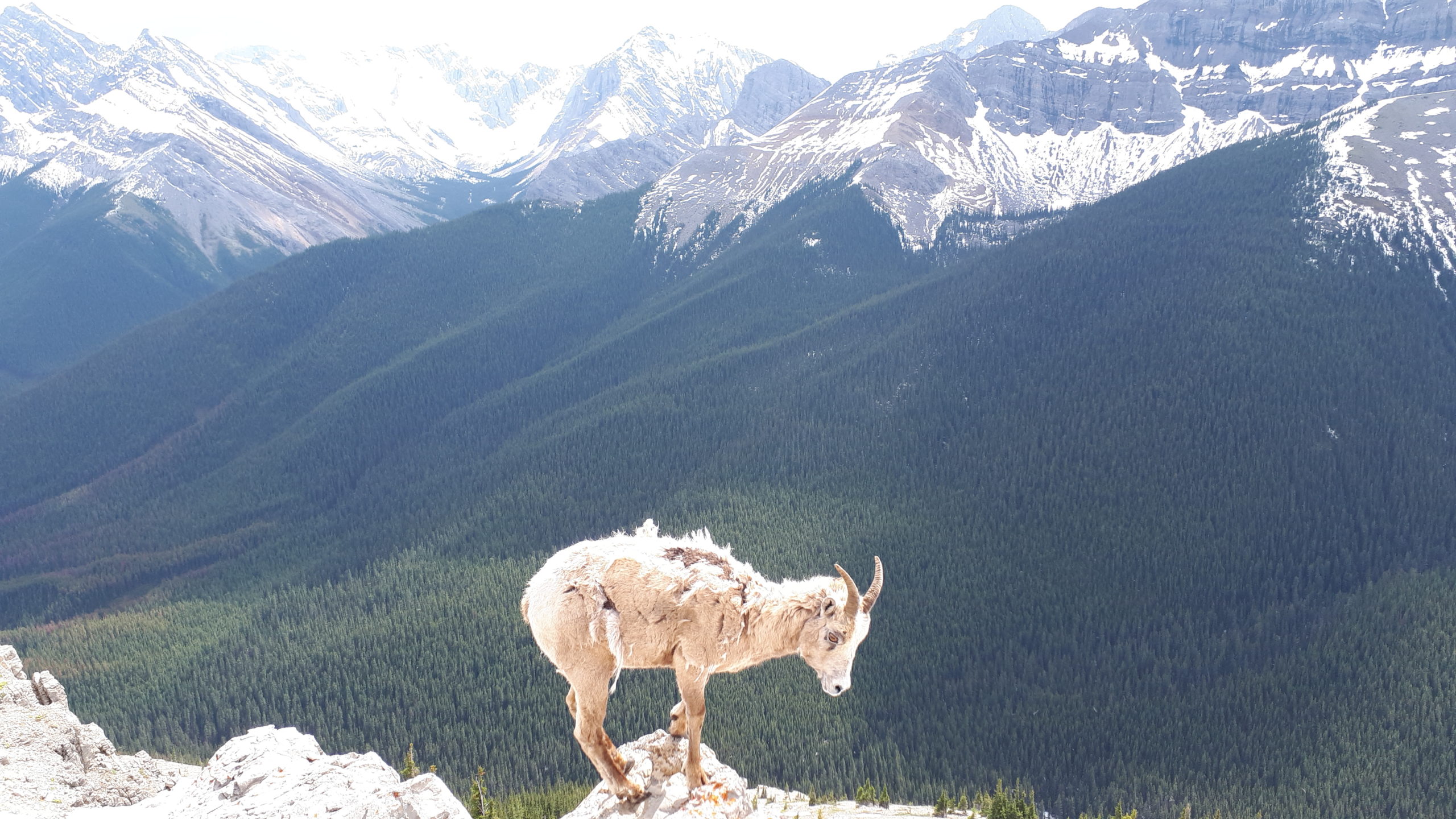 Canada’s Panoramic Captures