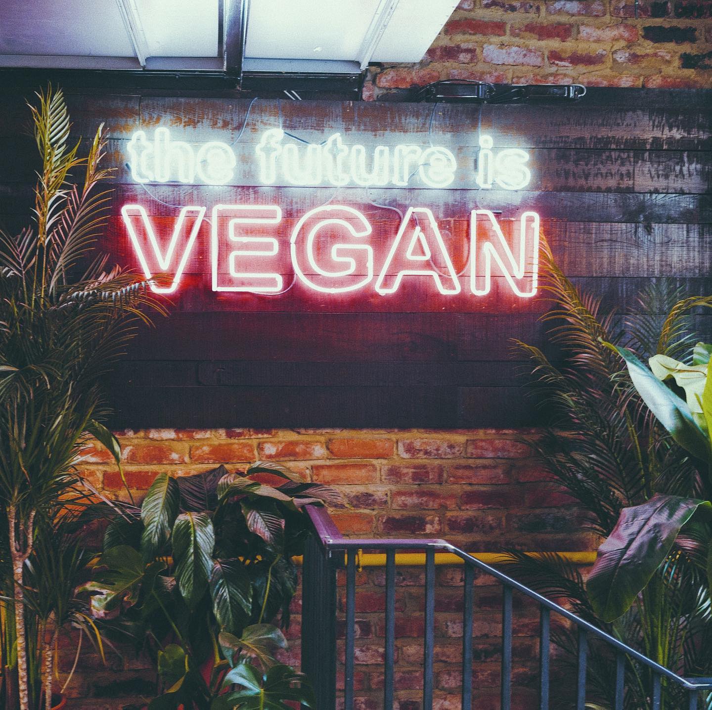 Vegan Sensations: Unity Diner